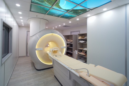 磁力共振 (MRI)